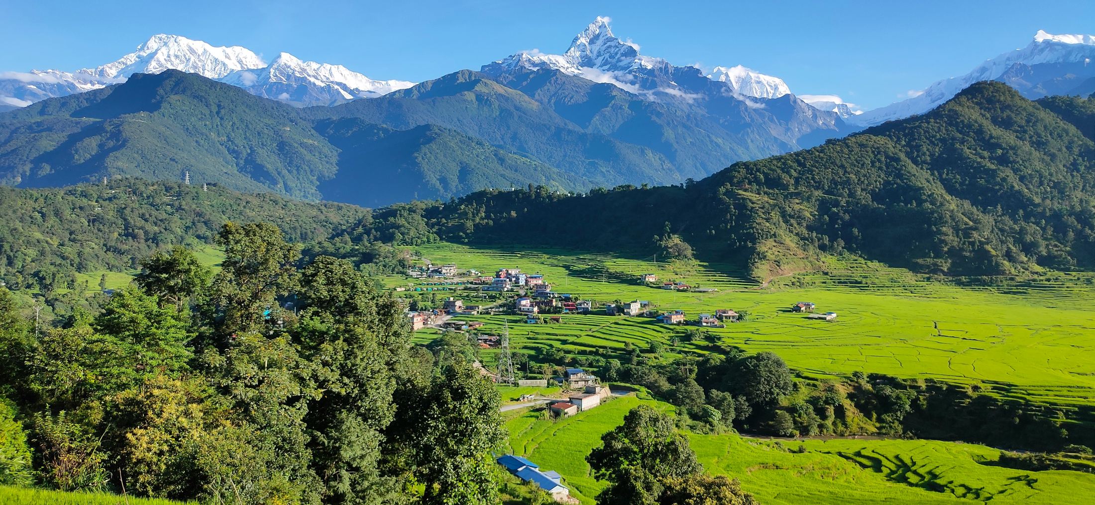 Pokhara valley rice terraces
